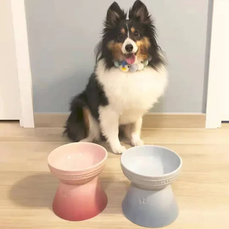 Ceramic colored cat bowl