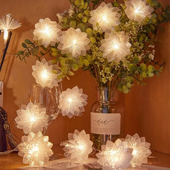 2/3M LED  Festoon Fairy Light