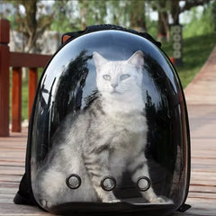 Pet Carrying Backpack