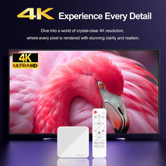 Remote Control  Voice Assistant