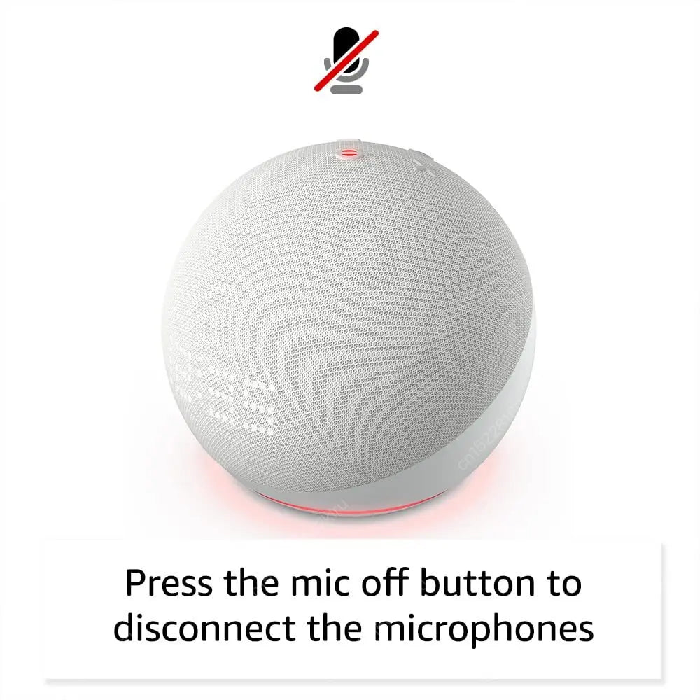 Wifi   BT Alexa Speaker