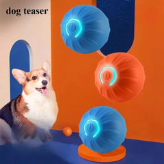 Dog Smarts Bouncing Ball