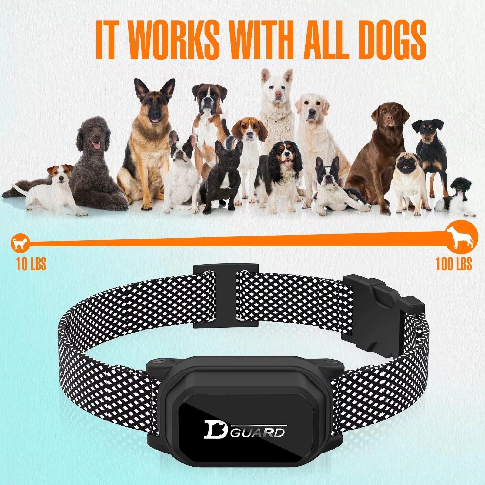 Digital Dog Training Collar