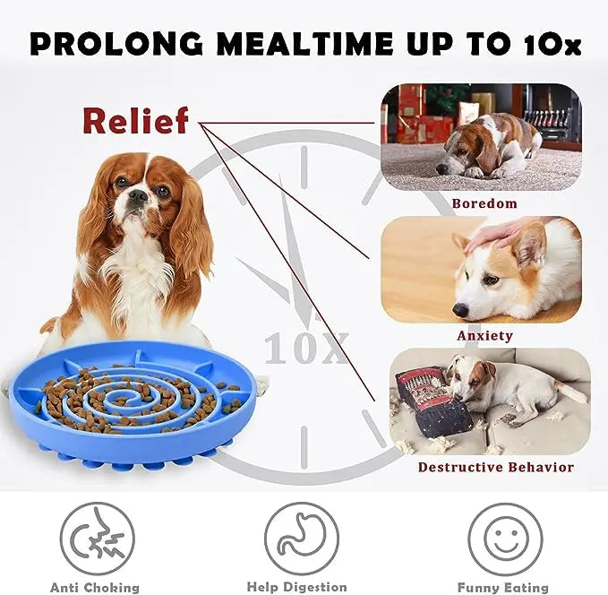 Anti-Slip Food Bowl