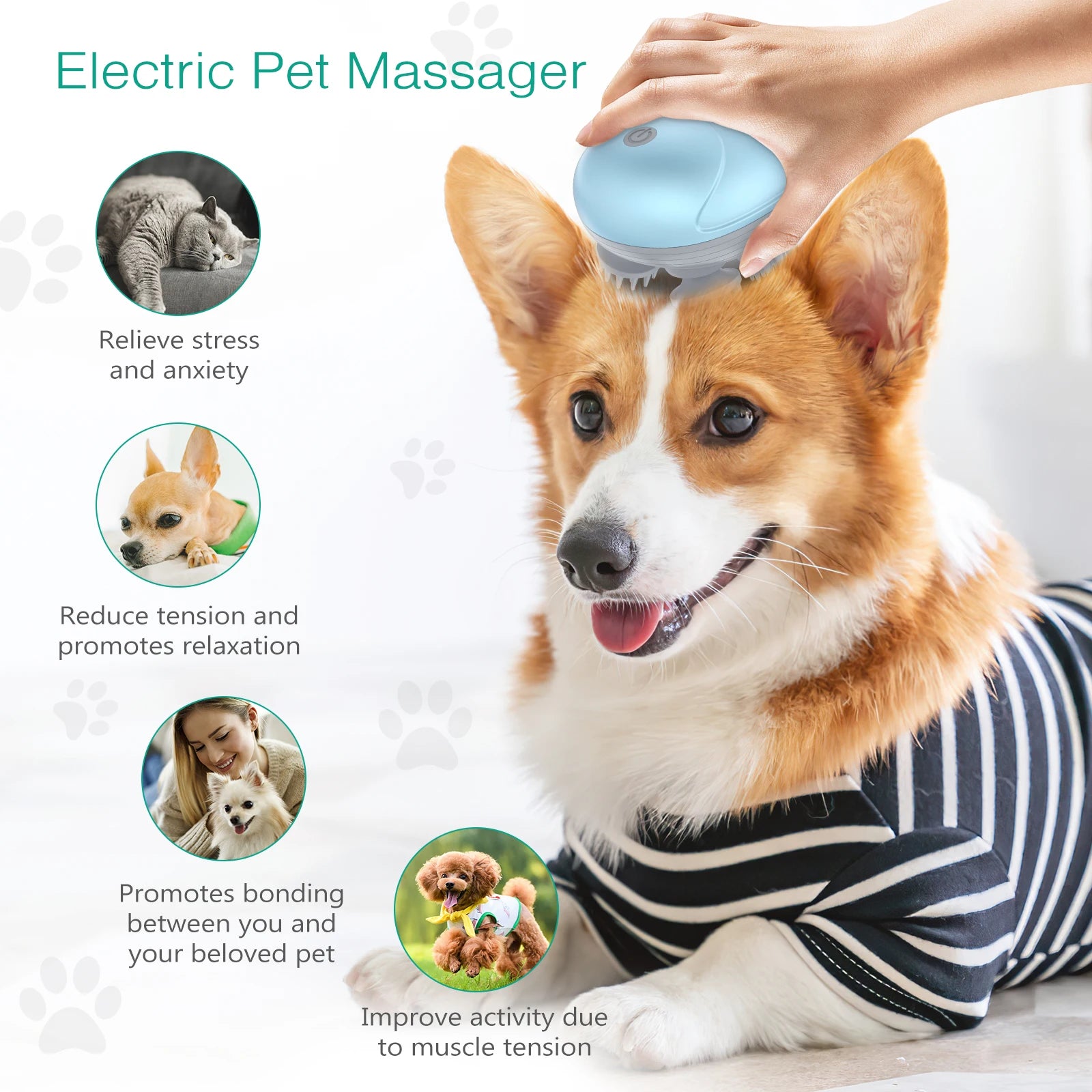 Electric Cat Massager