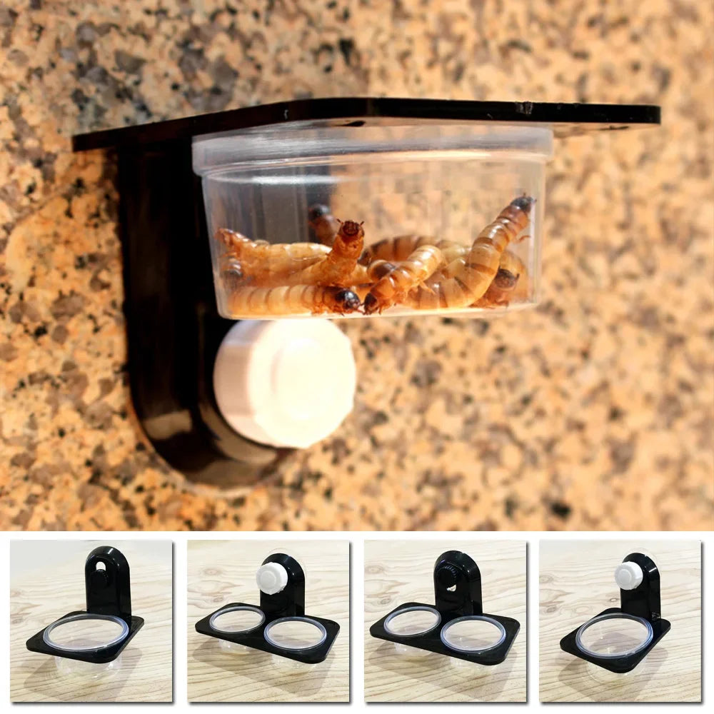 Reptile  Feeding Bowl