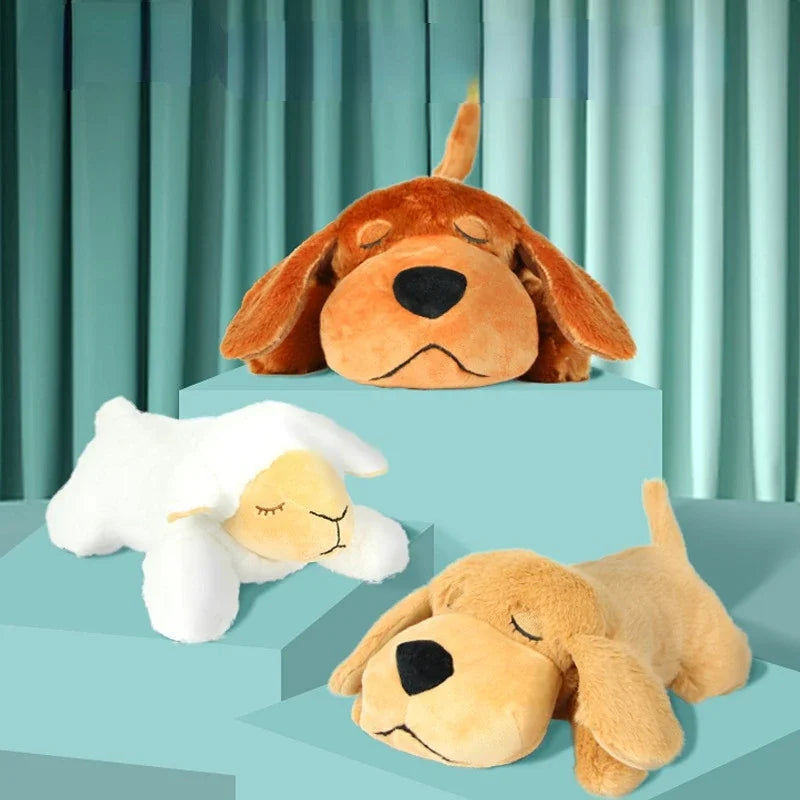 Puppy Behavioral Training Dog
