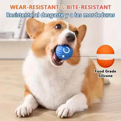 Dog Smarts Bouncing Ball
