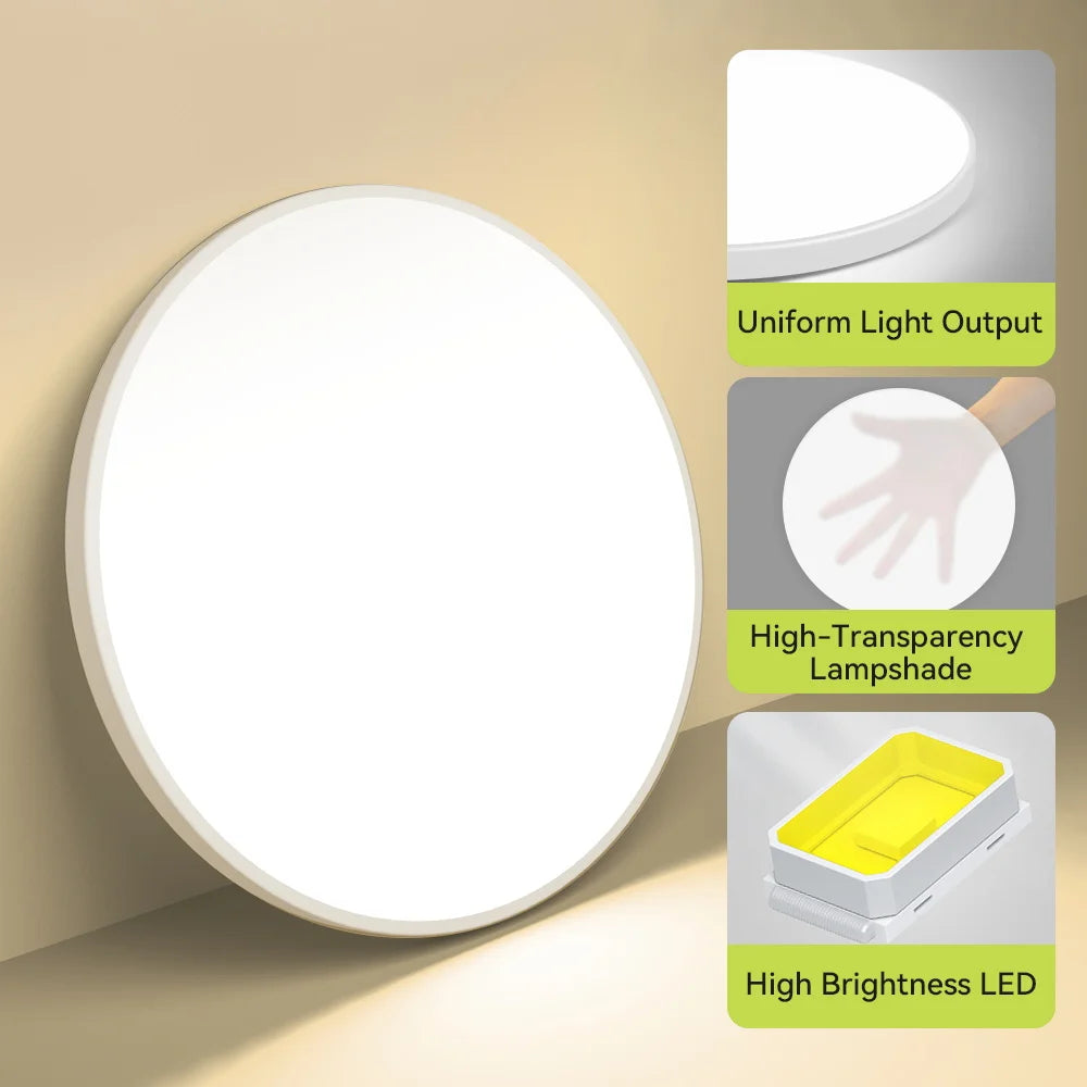 Modern Ceiling Lamps