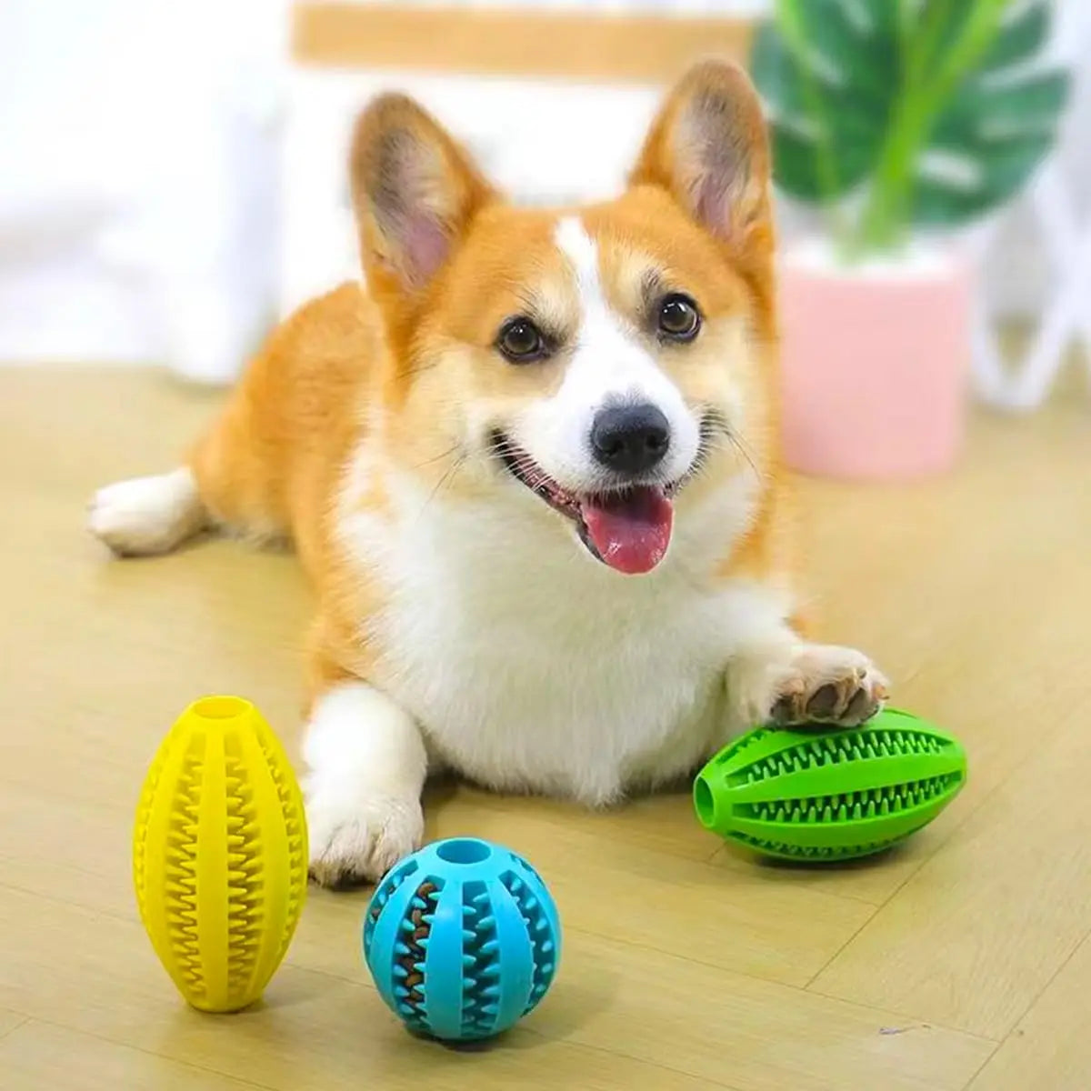 Pet Dog Chew Toys