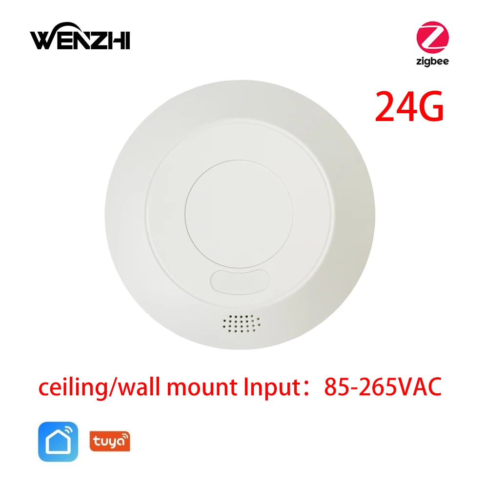 Motion Sensor Light Switch