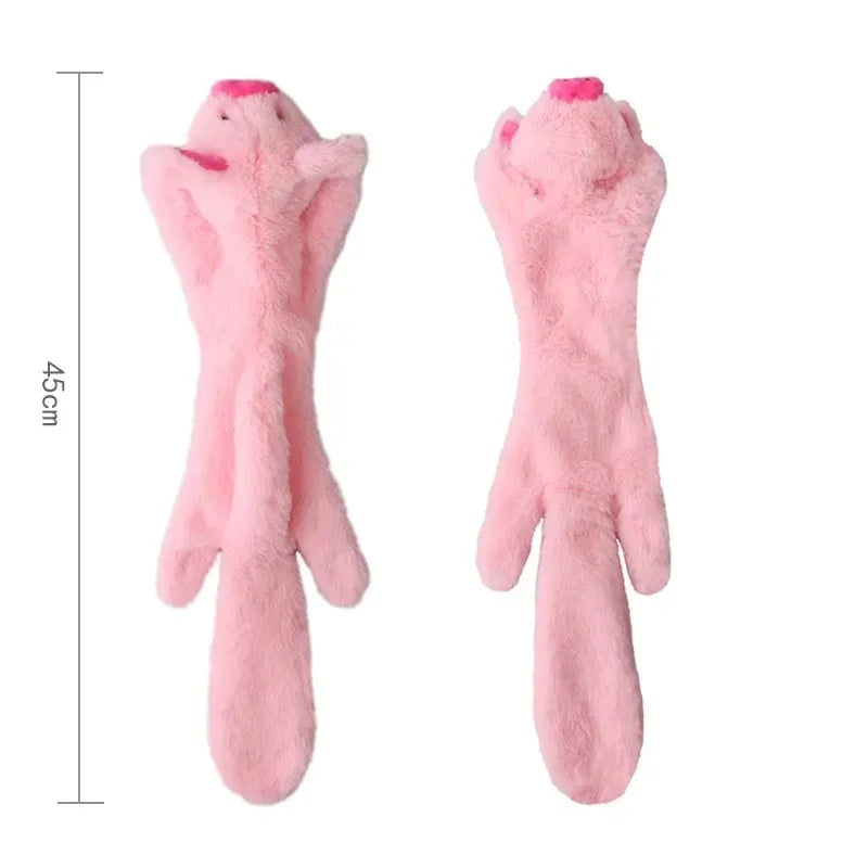 Pet Squeak Toy