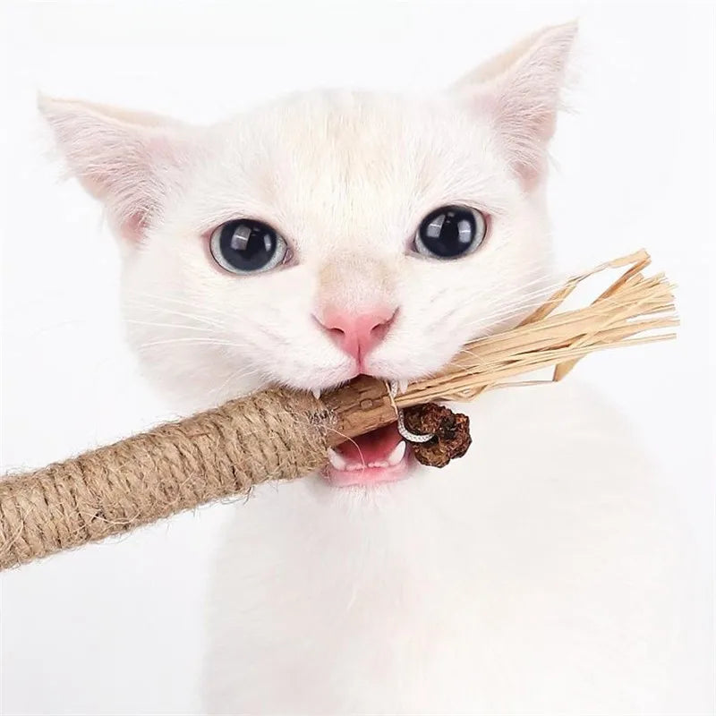Wooden Polygonum Stick Bite  Toy