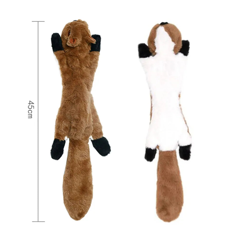 Pet Squeak Toy