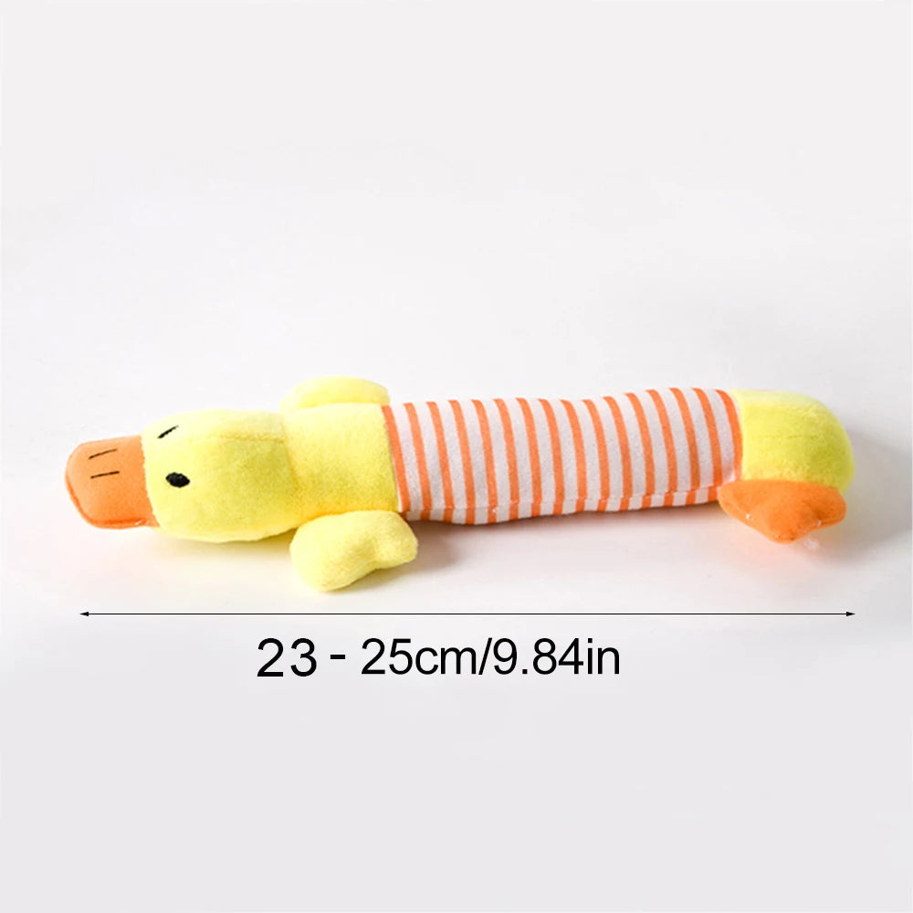 Pet Squeak Toy