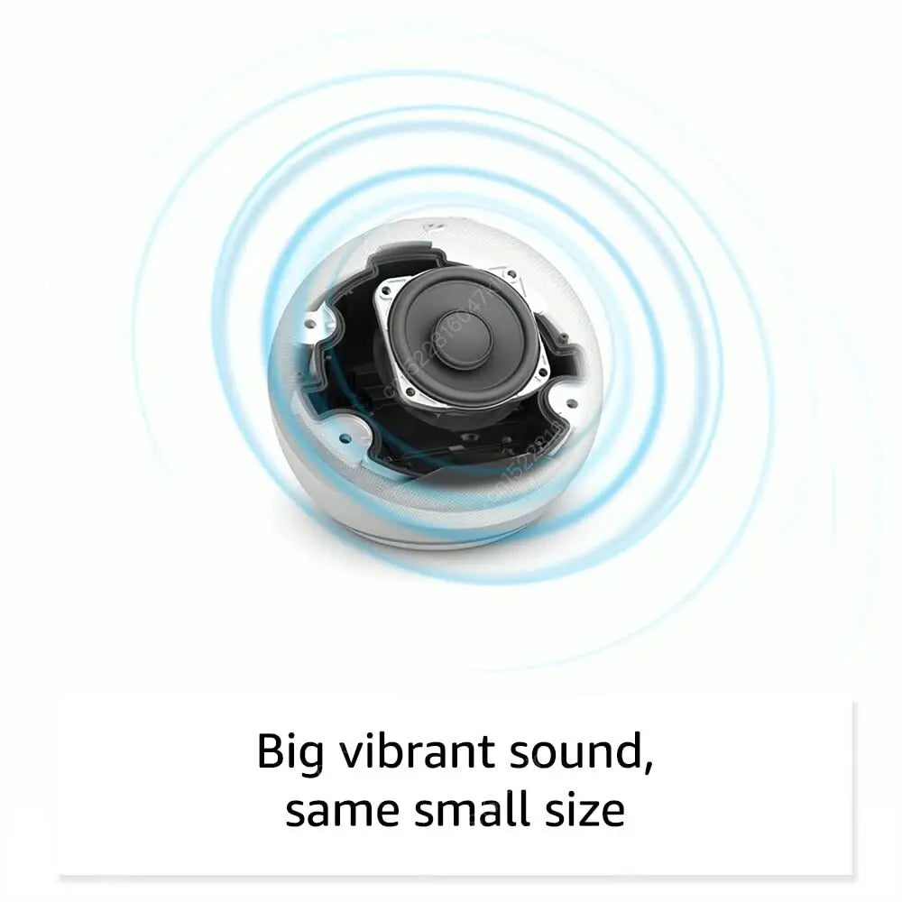 Wifi   BT Alexa Speaker