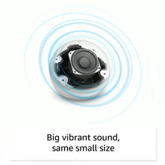 Wifi   BT Alexa Speaker