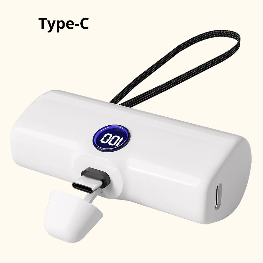 Portable Fast Charge  Charger