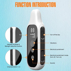Digital Dog Training Collar