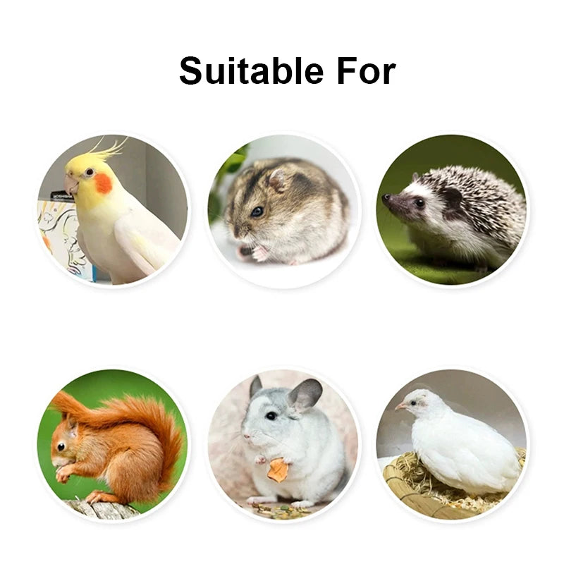 Bird Feeding Bowl