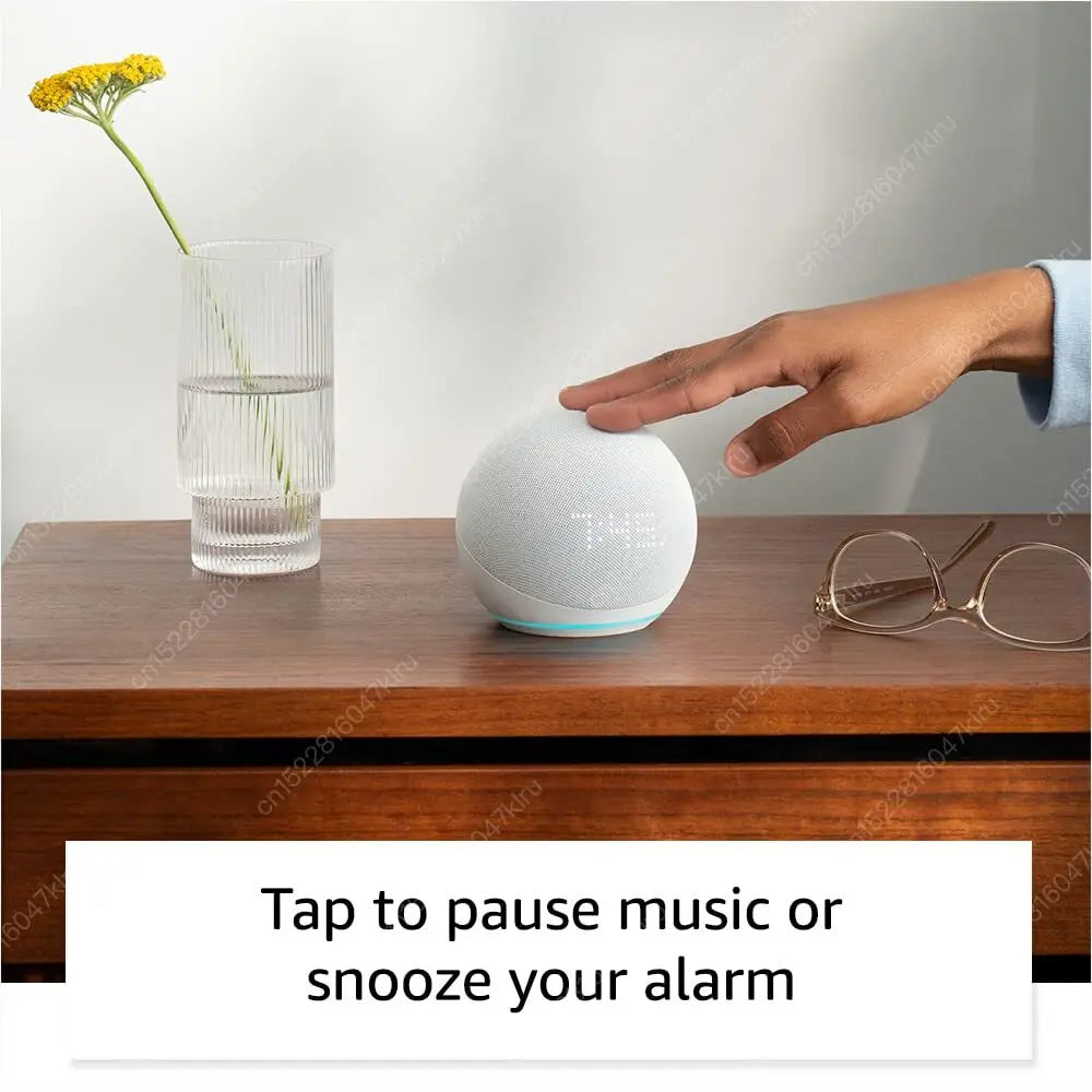 Wifi   BT Alexa Speaker