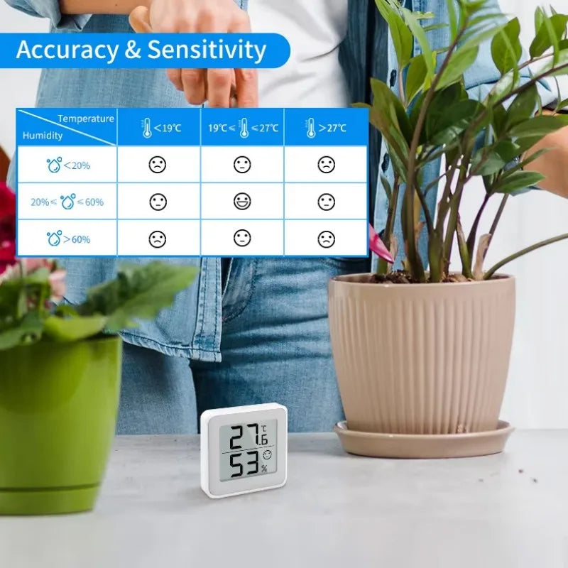 Electric  Temperature Humidity Meter