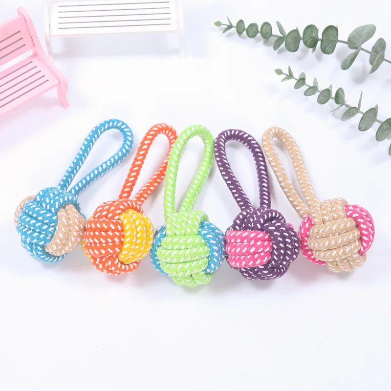 Chew Puppy Toy