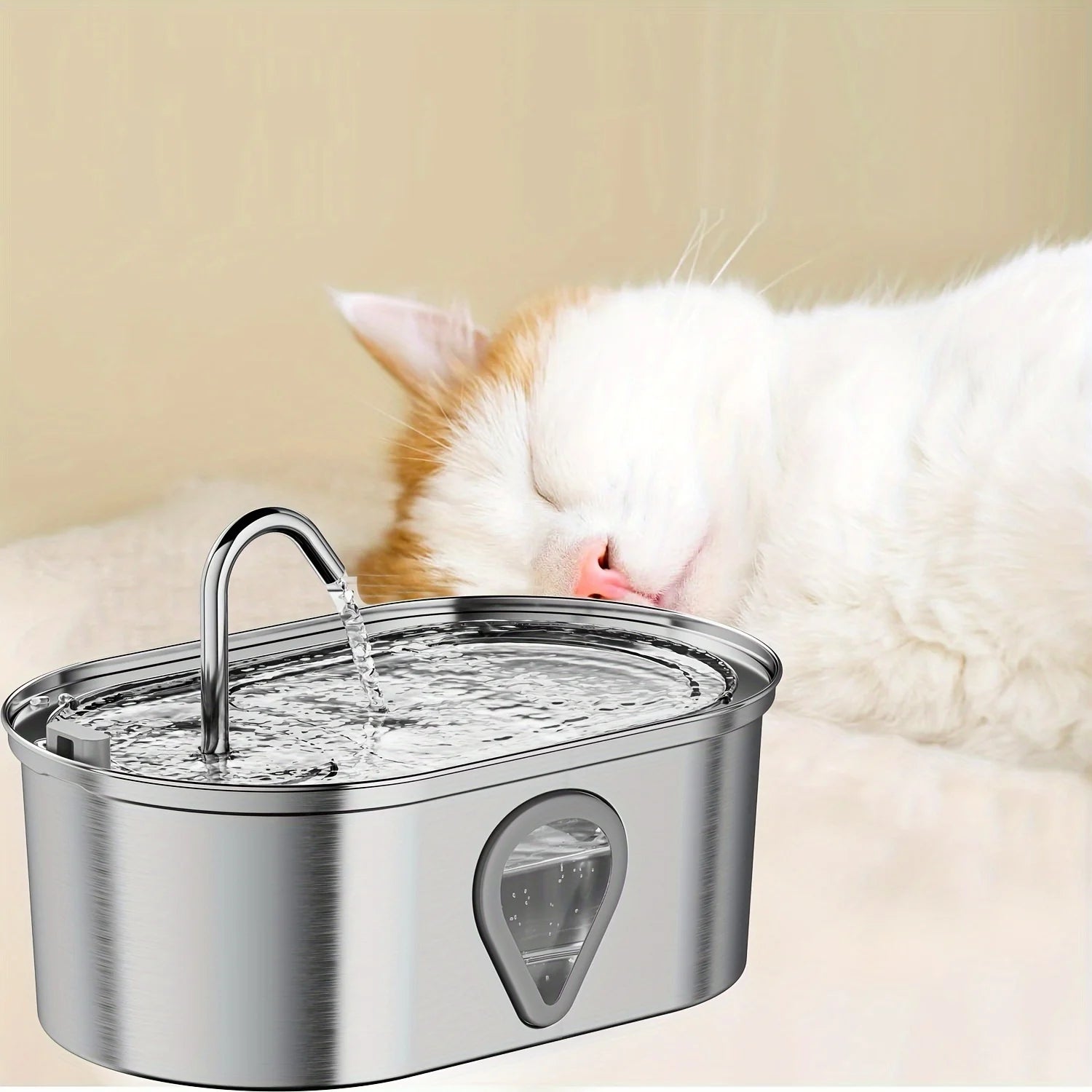 Pet water dispenser