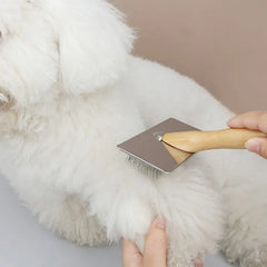 Dog Solid Wood   Comb