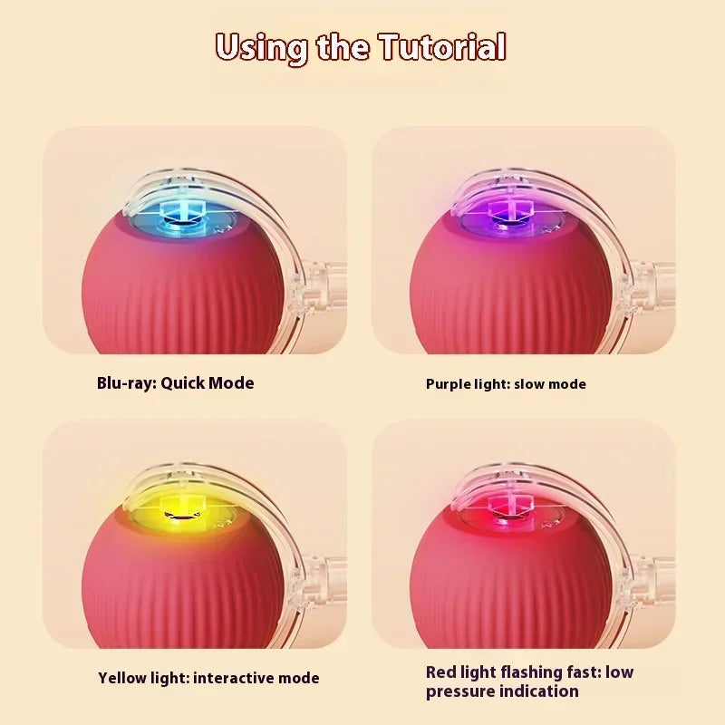 Interactive Cat Toys Ball
