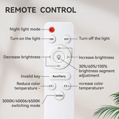 Modern Ceiling Lamps