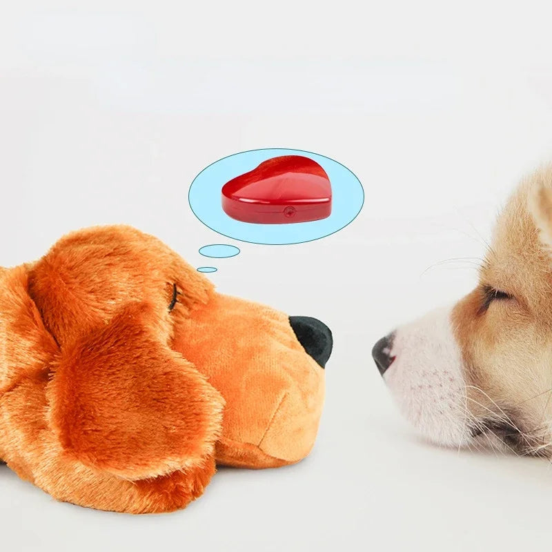 Puppy Behavioral Training Dog