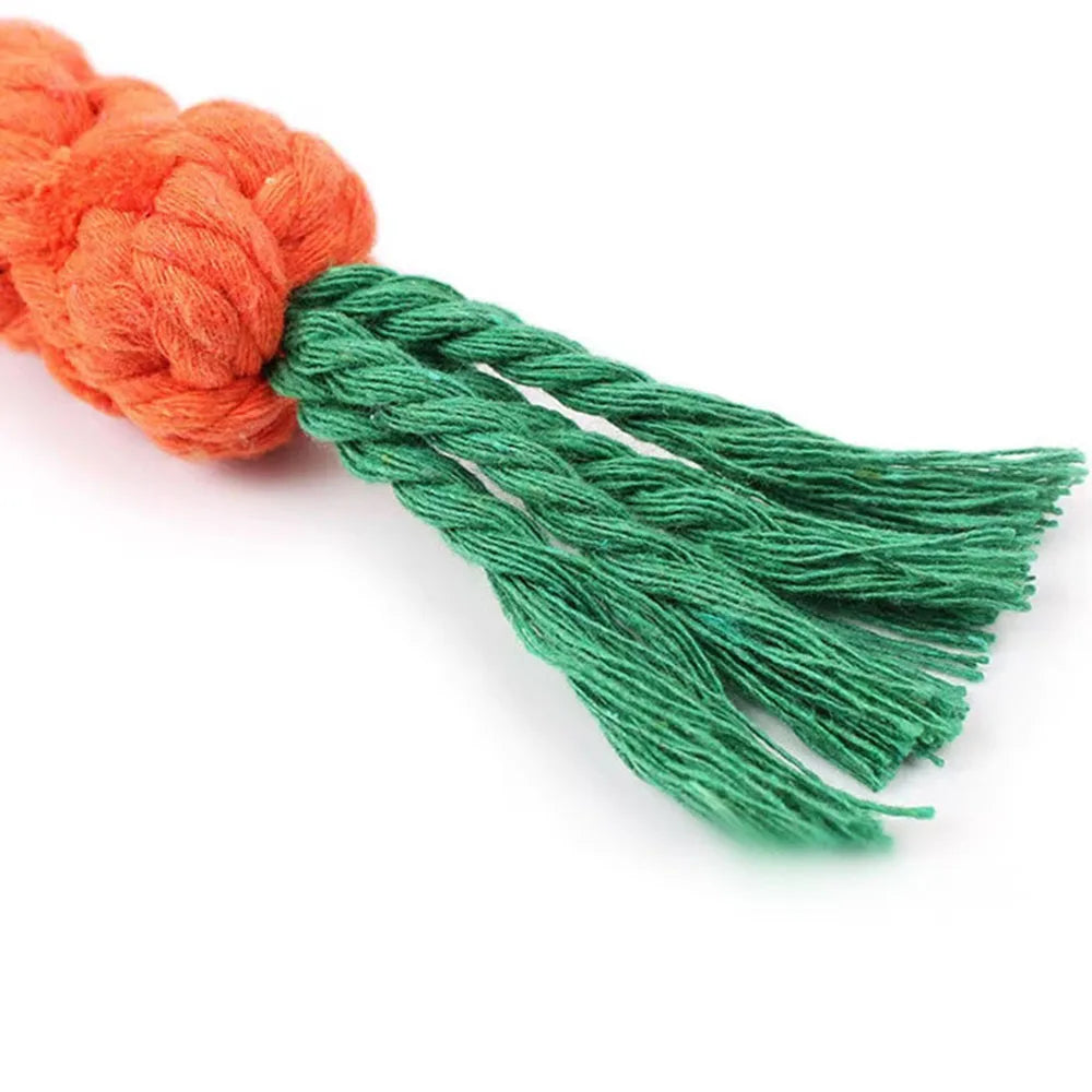 Carrot Dog Bite Toys
