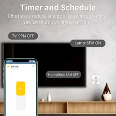 Wifi Smart Plug