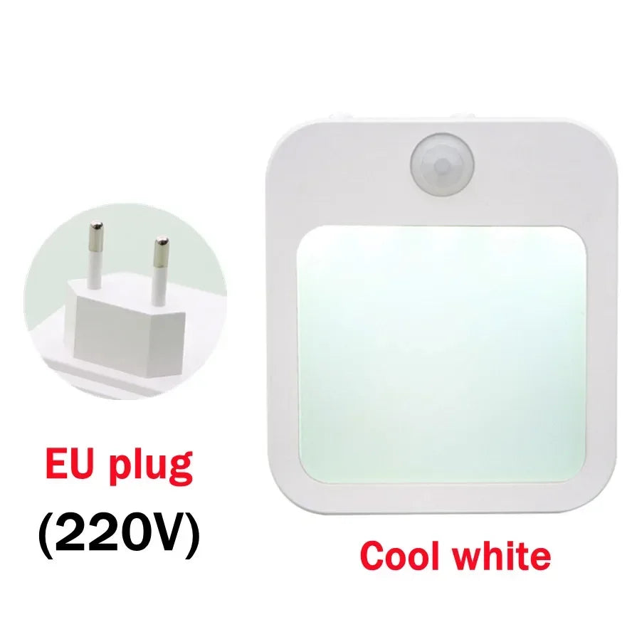 Motion Sensor LED Night