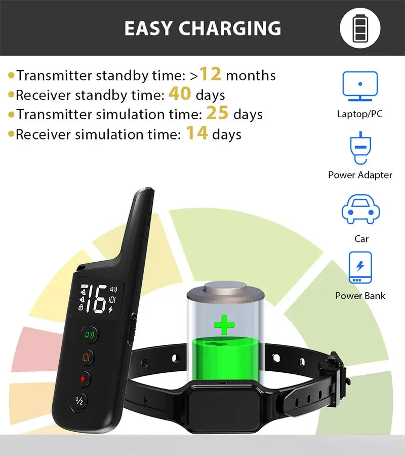 Dog Training Collar