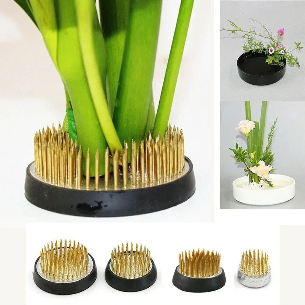 Round Flower Frog Holder