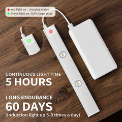 Motion Sensor Light
