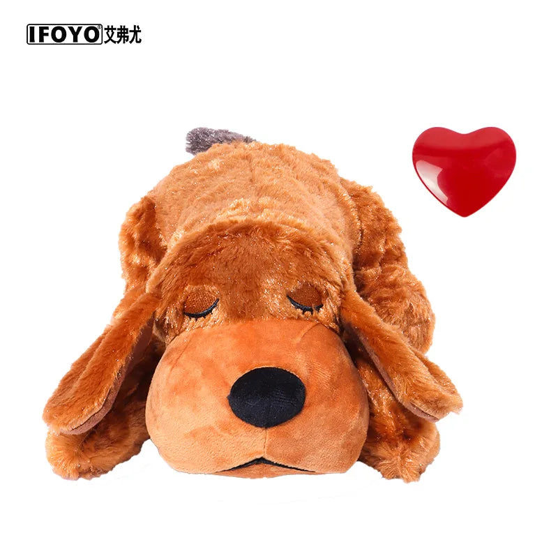Puppy Behavioral Training Dog