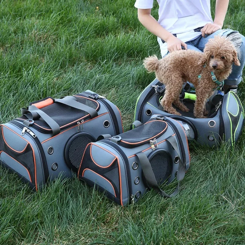 Portable Cat Handbag