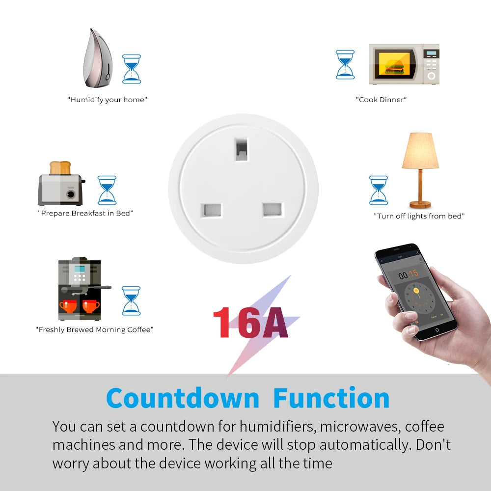 Voice Control   Smart Socket