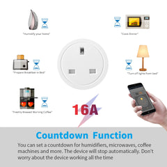 Voice Control   Smart Socket