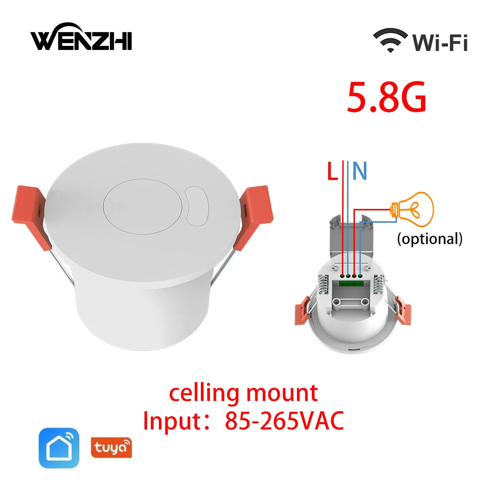 Motion Sensor Light Switch