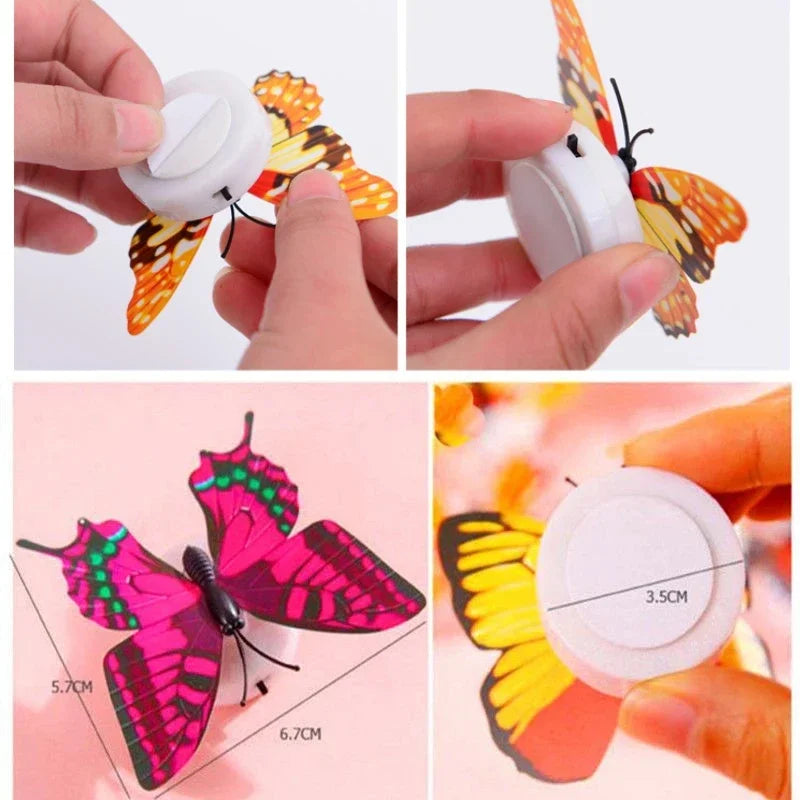 Butterfly Night Light