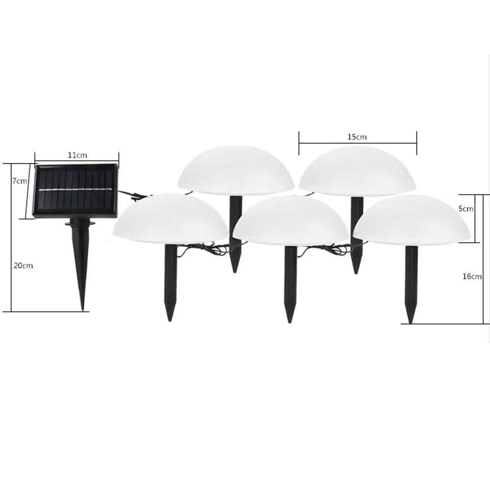 5pcs  Solar Ground Lights