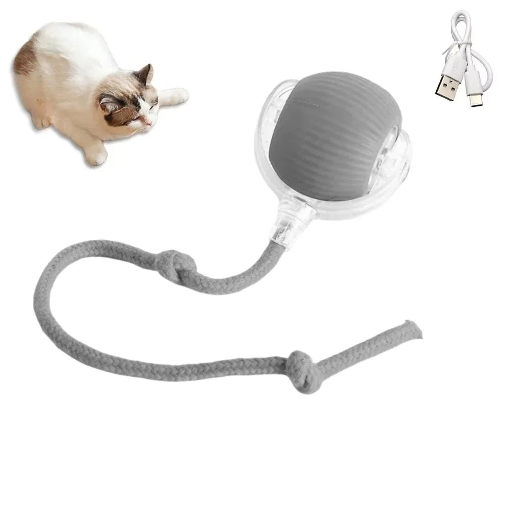 Interactive Cat Toys Ball