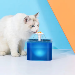 Cats and Dogs Water Fountain