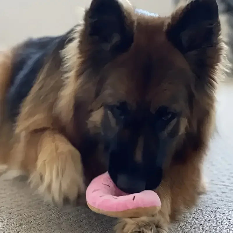 Soft Donuts Plush Dog Toy