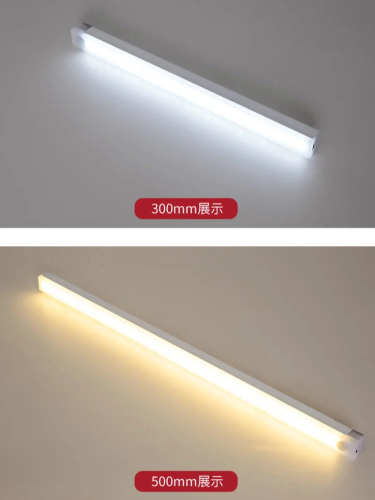 Portable Indoor Lighting  Lamps