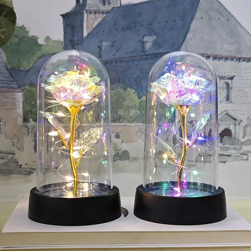 Eternal Rose Light Party Decor